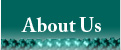 Paul A. McDaniel Foundation