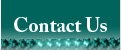 Paul A. McDaniel Foundation