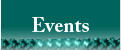 Paul A. McDaniel Foundation