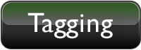 web design, web development & video